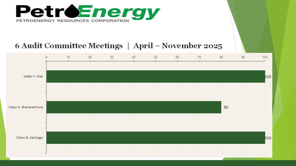 6 Audit Committee Meetings April to November 2025